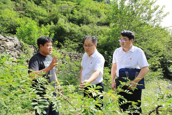 中央纪委国家监委驻司法部纪检监察组