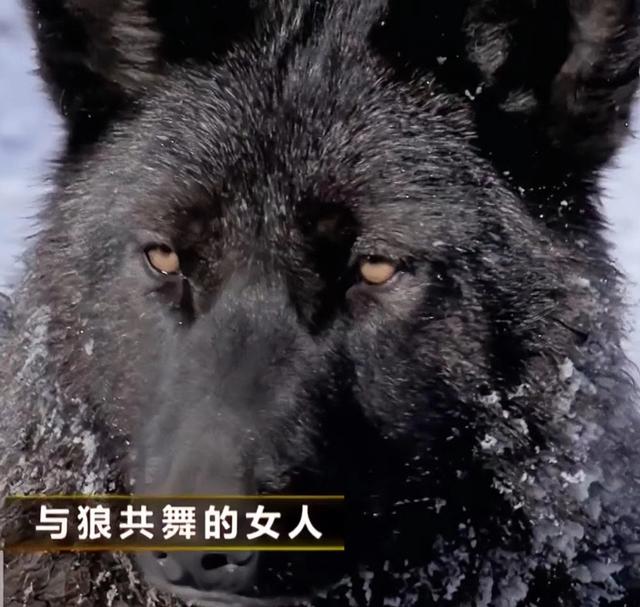 文章图片5