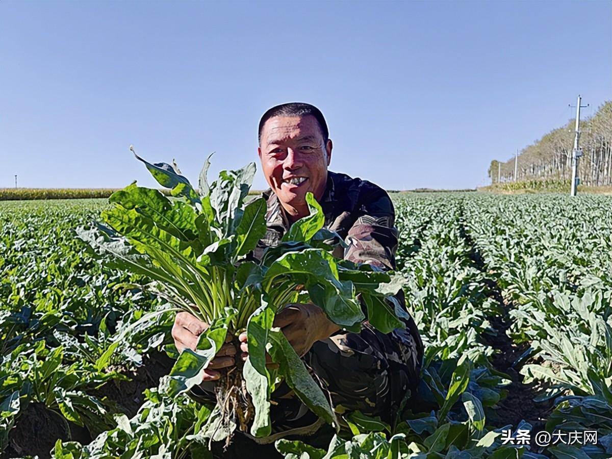 丰收致富