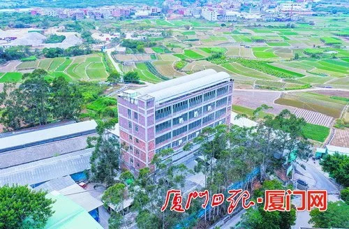 致富养猪场是真的吗_神奇猪舍致富经_致富经猪