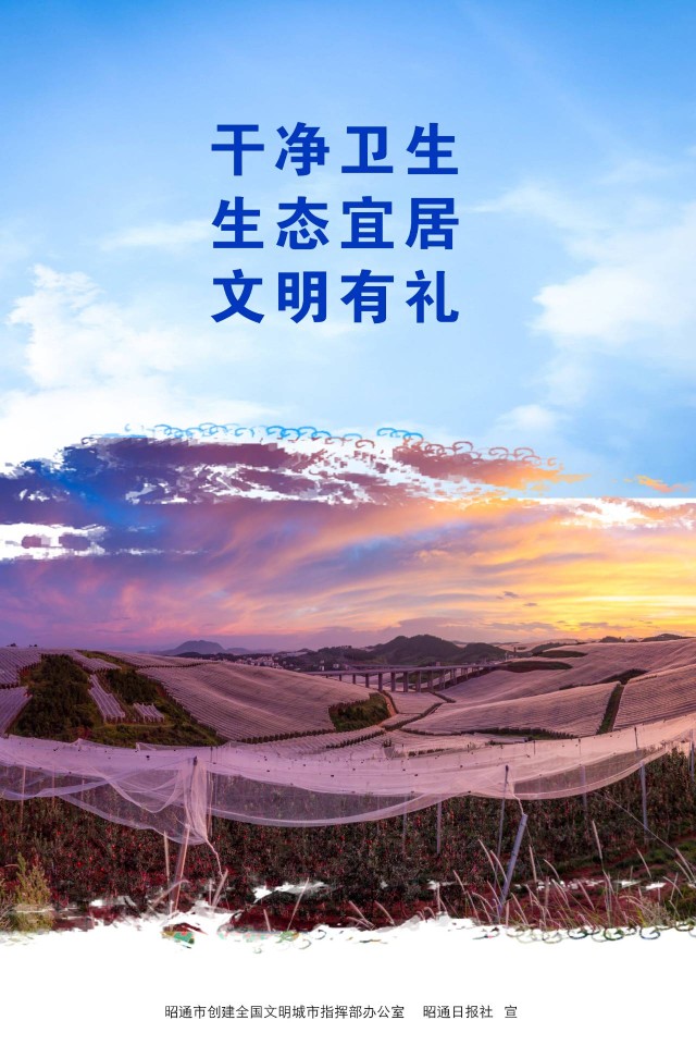 致富经之斑鸠养殖_致富养殖斑鸠图片_养殖斑鸠利润空间多大