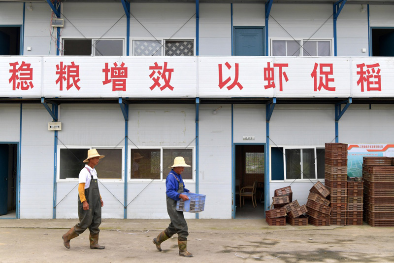 致富虾养殖_致富经室内养虾视频_致富经养虾