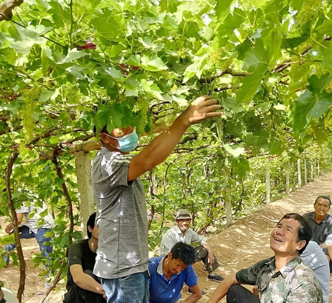 致富养殖业技术有哪些方面_致富养殖业技术有哪些_养殖业致富的技术有
