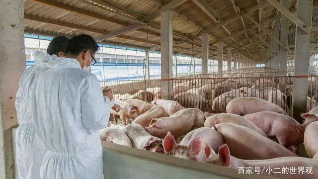 致富养殖现在怎么样_养殖致富经_现在养殖致富