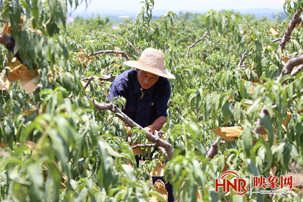 致富养殖群众项目名称_群众养殖致富项目_致富养殖群众项目有哪些