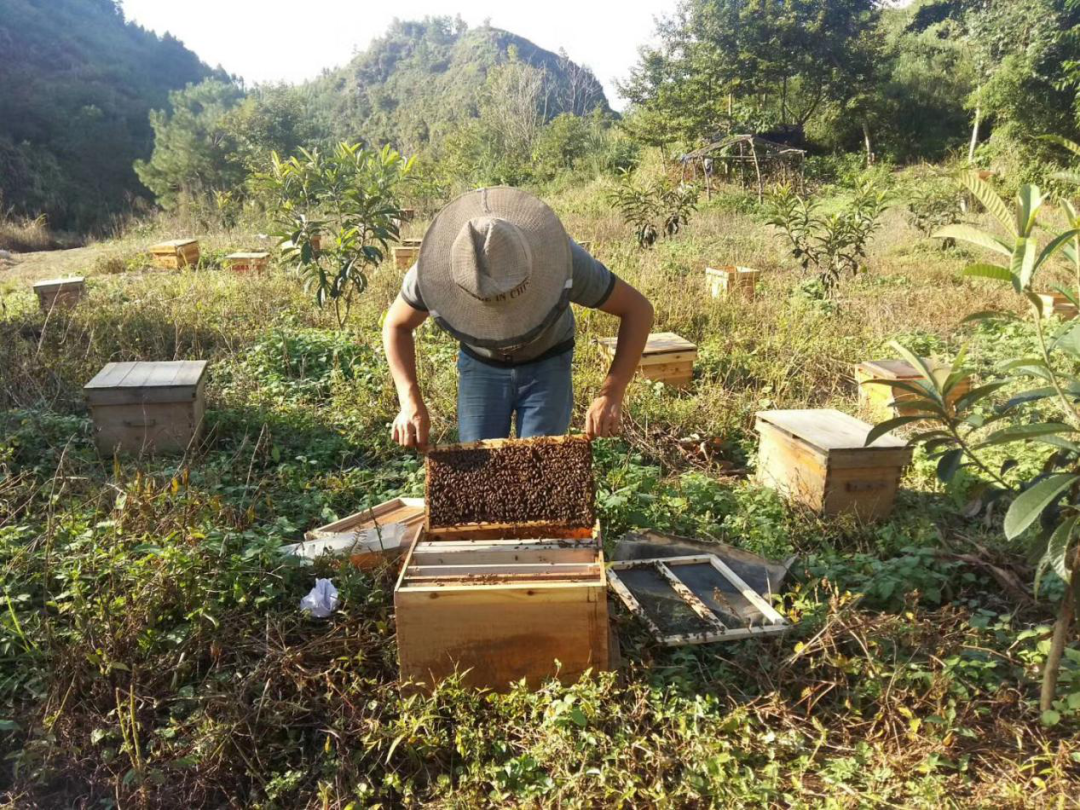 群众养殖致富项目_致富养殖信息_致富养殖群众项目有哪些