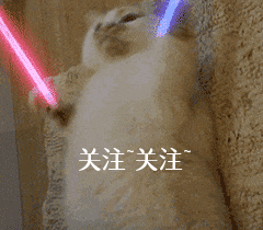 致富养殖哈士奇项目介绍_养殖哈士奇赚钱吗_哈士奇养殖致富项目