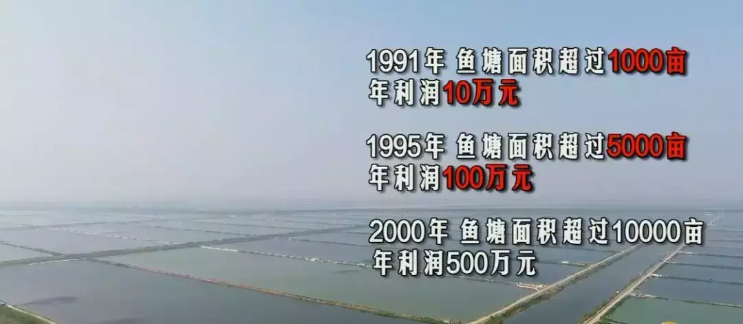 水厢养殖_水箱养殖什么致富_水箱养殖技术