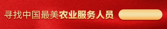水箱养殖项目_水箱养殖什么致富_水厢养殖