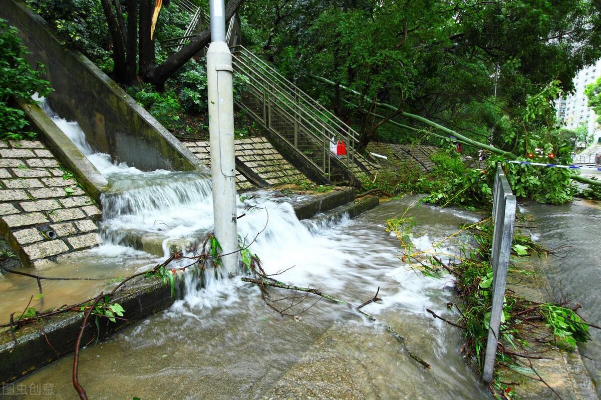水箱养殖什么致富_致富经水箱养鱼_水箱养殖项目