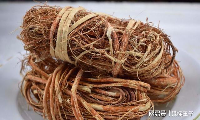 毛桃种子种植视频_毛桃种植技术_毛桃种植致富项目
