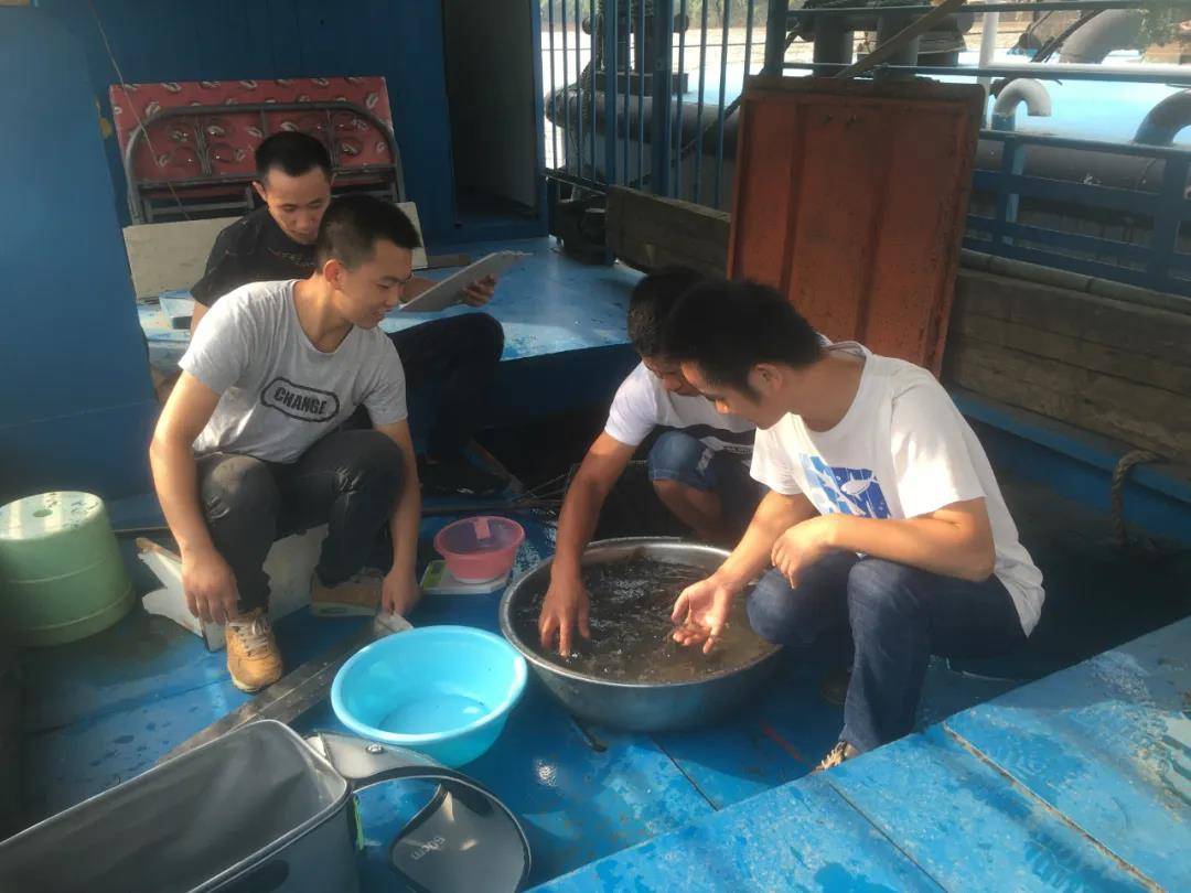 贵州胭脂鱼苗养殖技术_贵州养殖鱼基地_贵州鱼苗批发联系方式