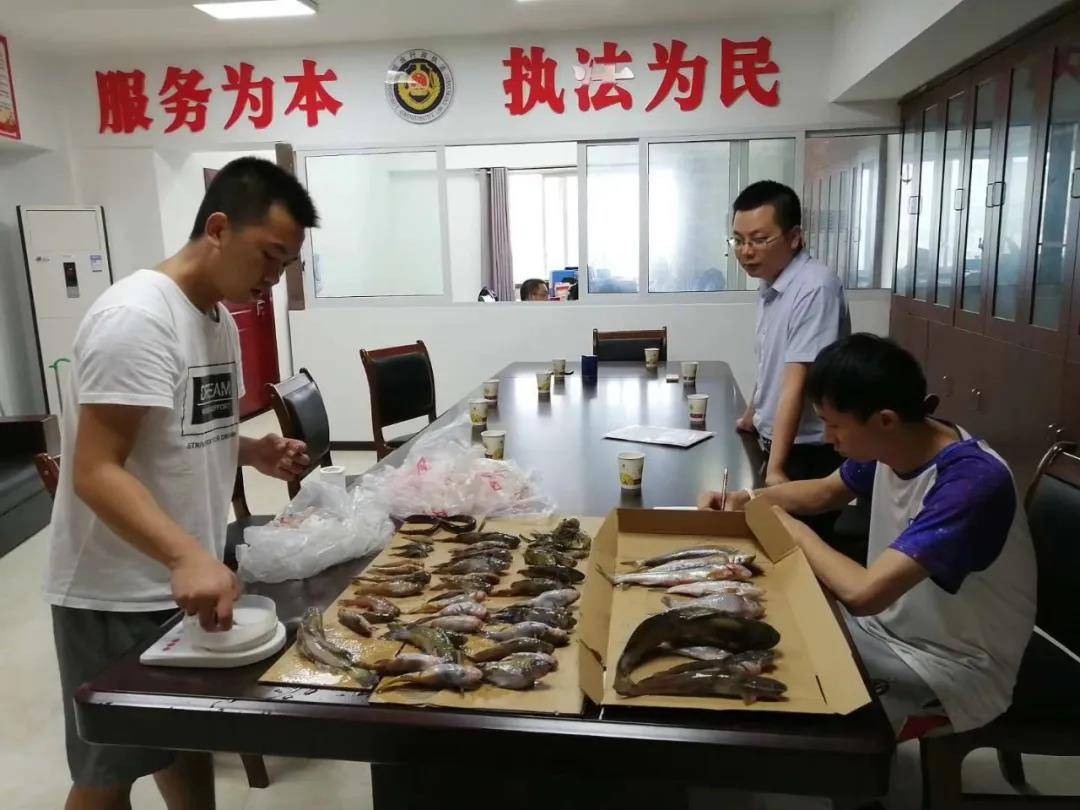 贵州胭脂鱼苗养殖技术_贵州鱼苗批发联系方式_贵州养殖鱼基地