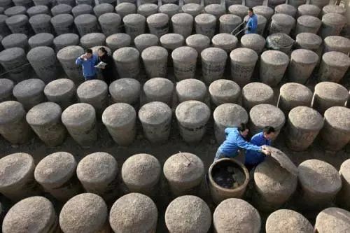 种植芦笋前景如何_农广天地芦笋种植技术_芦笋种植骗局致富