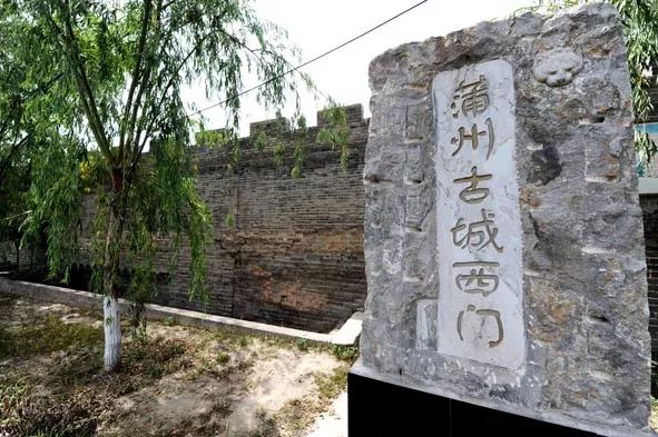 芦笋种植骗局致富_农广天地芦笋种植技术_种植芦笋前景如何
