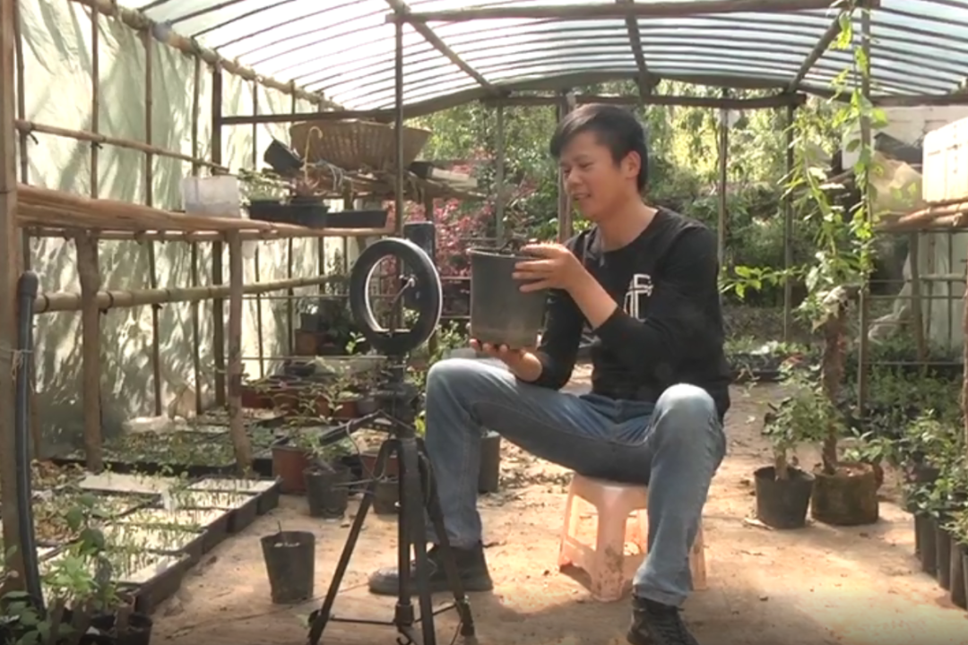 致富种植什么比较赚大钱_植物种植致富_致富种植植物有哪些