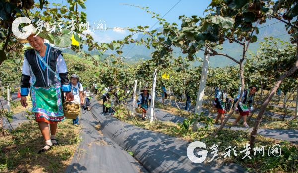 养殖致富的词语_养殖致富的语句_致富养殖词语怎么说