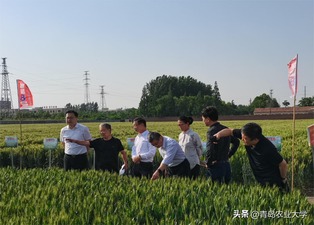 山东致富项目_致富经青岛_致富经山东