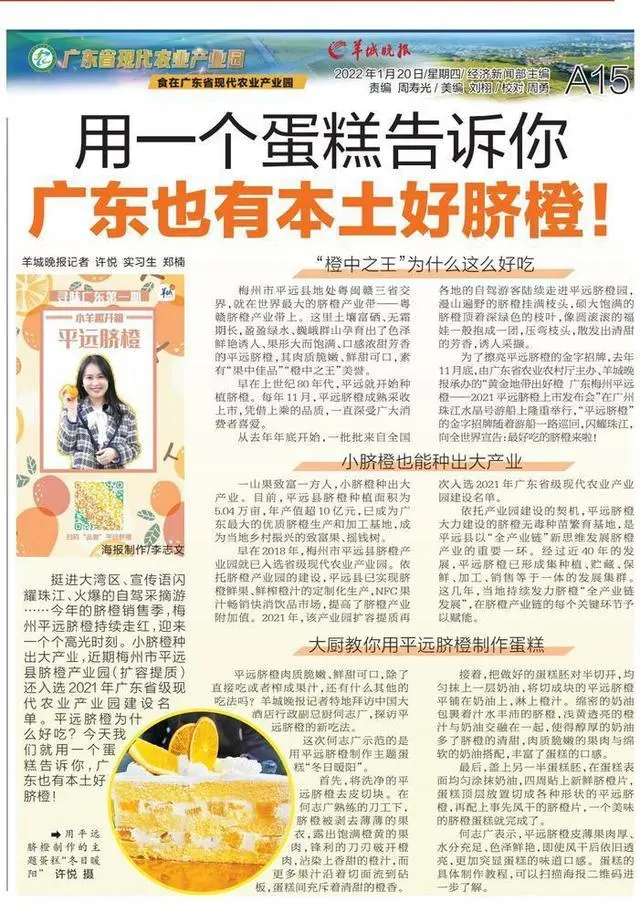 视频种植堆脐橙技术做什么用_脐橙做堆种植技术视频_种脐橙的步骤