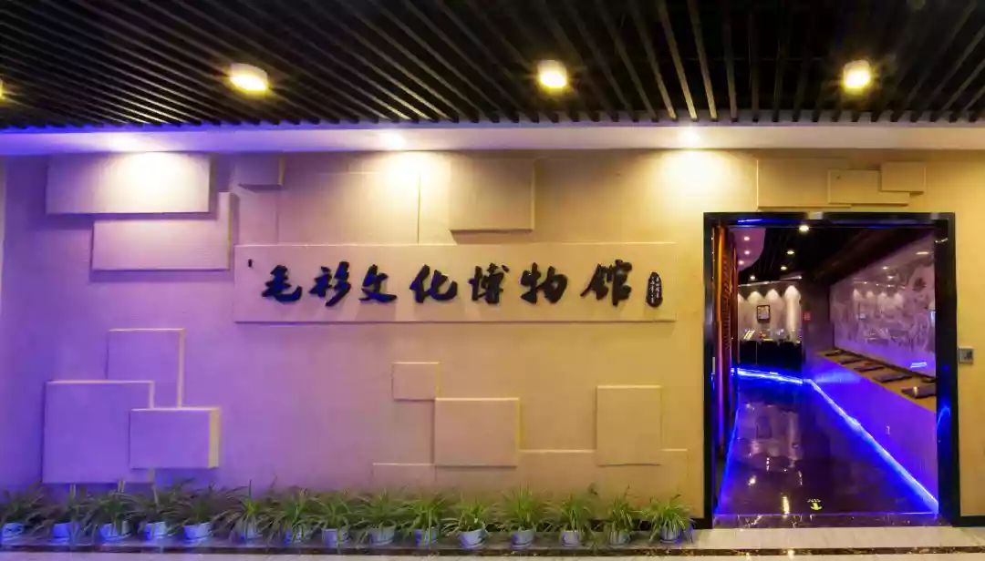 致富养殖锦鲤视频_锦鲤养殖 致富经_致富经锦鲤鱼养殖视频
