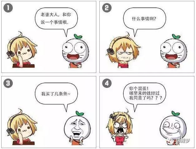 锦鲤养殖 致富经_致富经锦鲤鱼养殖视频_致富养殖锦鲤视频