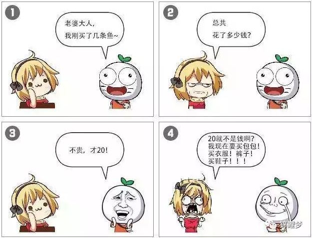 锦鲤养殖 致富经_致富经锦鲤鱼养殖视频_致富养殖锦鲤视频