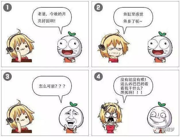 锦鲤养殖 致富经_致富养殖锦鲤视频_致富经锦鲤鱼养殖视频