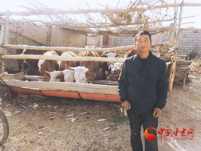 瓜州： 巧念养牛致富经