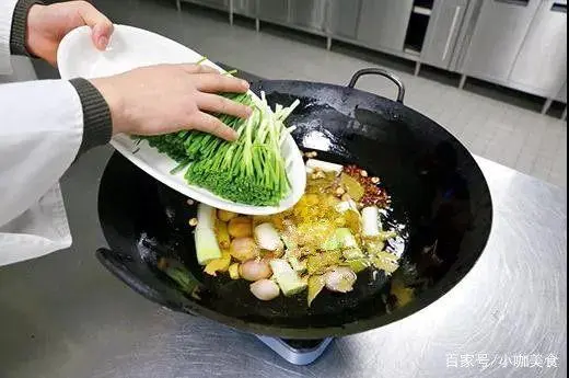红香葱种植技术和效益_香葱种植效益怎么样_红香葱种植几天收