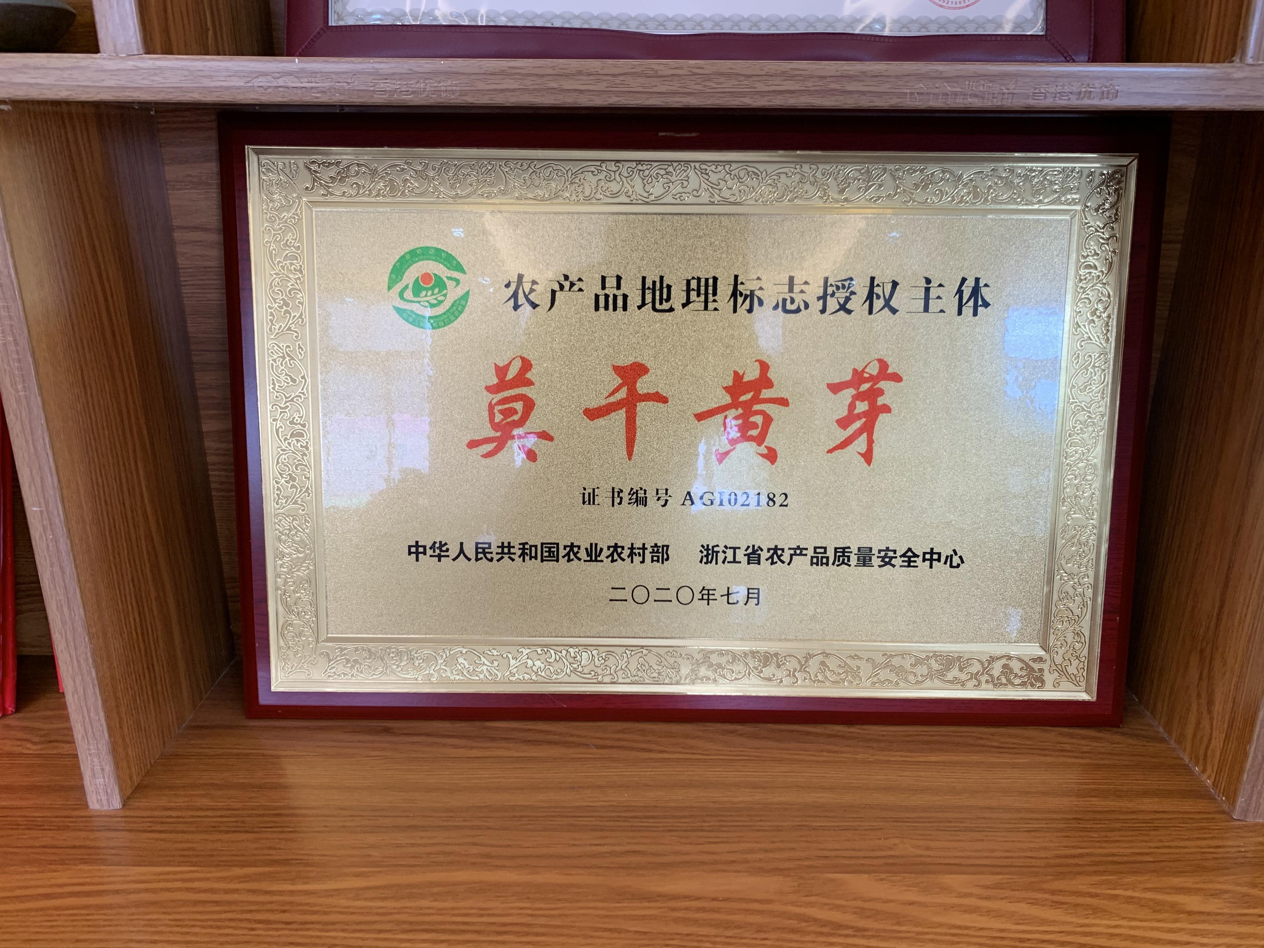湖州“茶博士”与一片叶的致富经