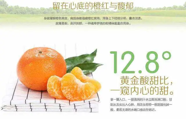 cctv沃柑致富经_沃柑赚钱吗_沃柑60亩赚900万