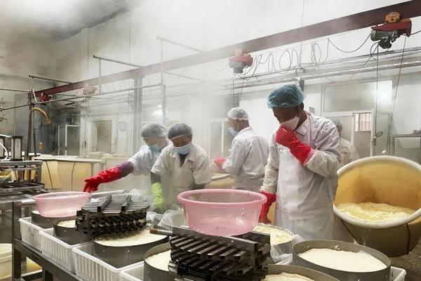 致富经神仙豆腐视频_致富经豆腐类致富故事_视频致富神仙豆腐视频下载