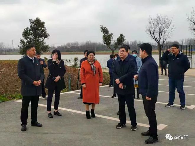 致富黑莓种植技术视频_种植黑莓 致富_黑莓种植条件