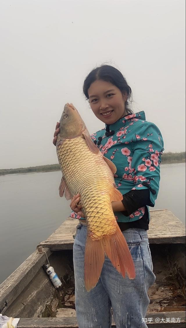 农村美女养殖致富_致富养殖美女农村小说_致富经美女养牛