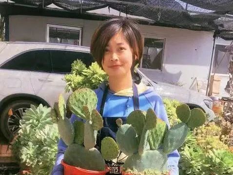 致富养殖美女农村视频_农村美女养殖致富_致富经美女养牛
