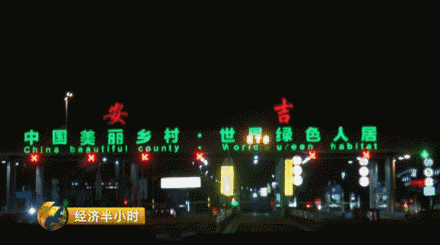 堪比奢侈品！50元竹子竟卖上万元，销售额将突破1个亿！