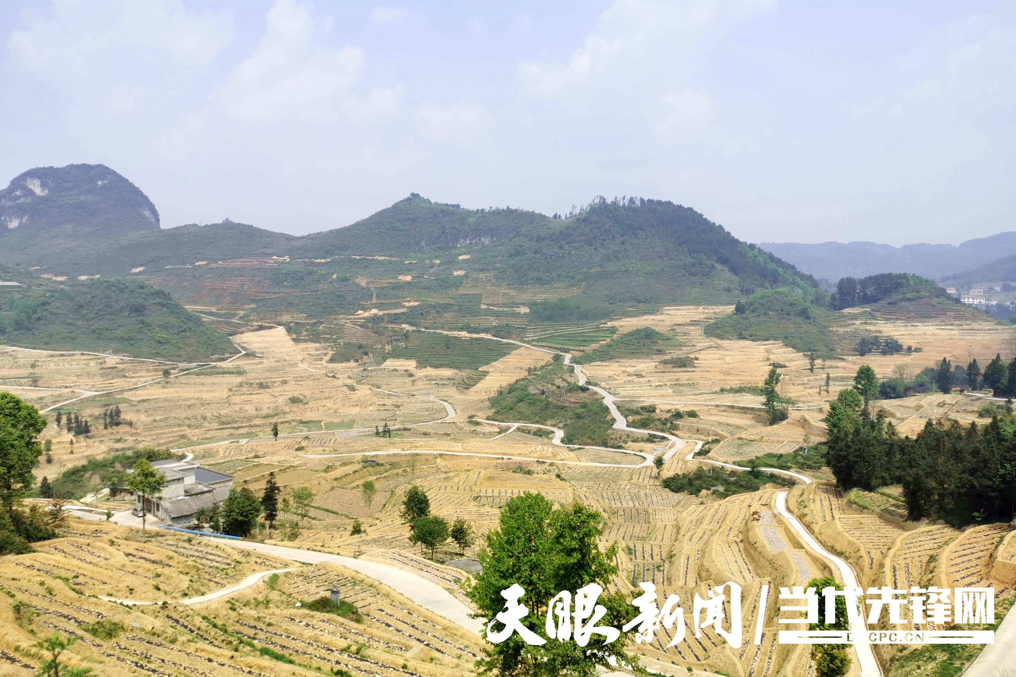 罗甸：千方百计保产业落地 种桑养蚕能致富增收