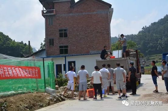 墩尚镇聚农10号泥鳅养殖助力贫困户残疾人脱贫致富