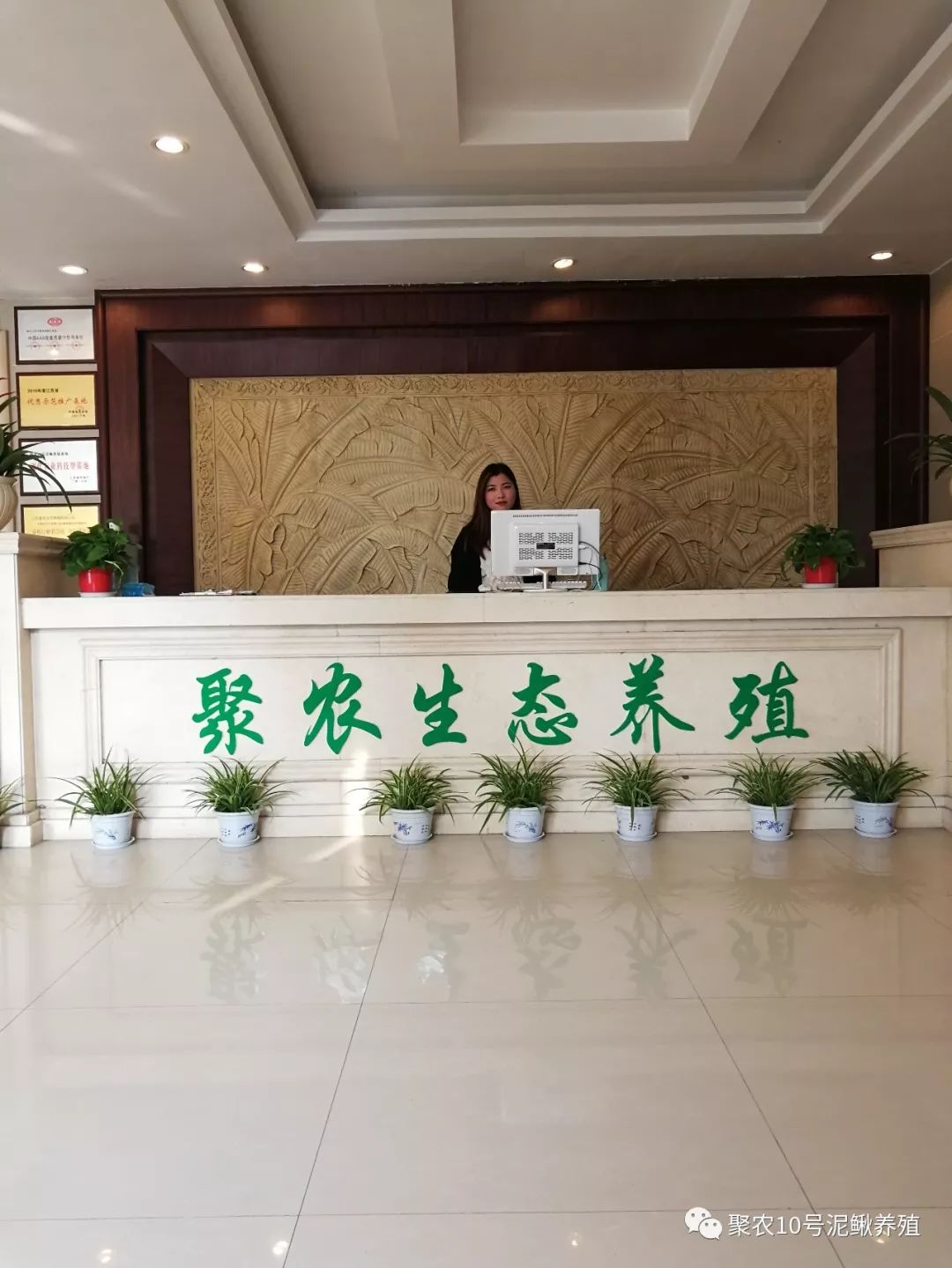 致富养殖青鳅视频_青鳅养殖致富_青泥鳅养殖