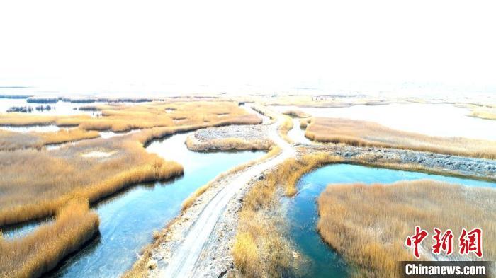 飞禽养殖场_飞禽养殖养哪种有前景_博乐养殖飞禽致富