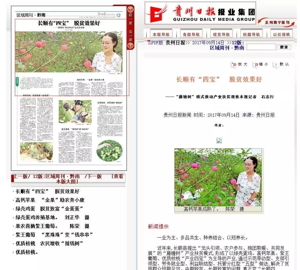 养殖绿壳蛋鸡前景如何_绿壳蛋鸡养殖技术视频_绿壳蛋鸡养殖新技术