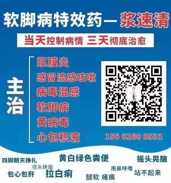 养殖蜘蛛赚钱吗_蜘蛛养殖与致富_致富蜘蛛养殖视频