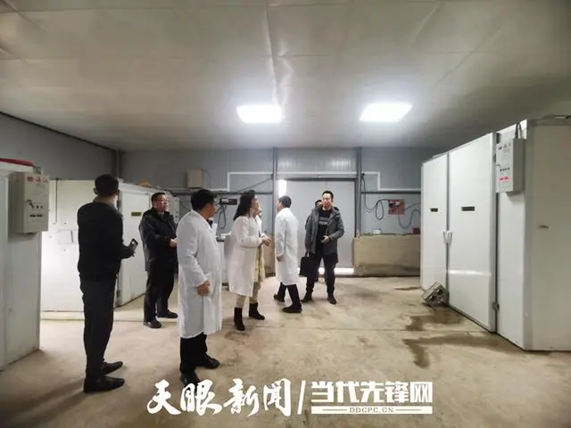 养殖绿壳蛋鸡前景如何_绿壳蛋鸡养殖技术视频_2020年绿壳蛋鸡养殖前景