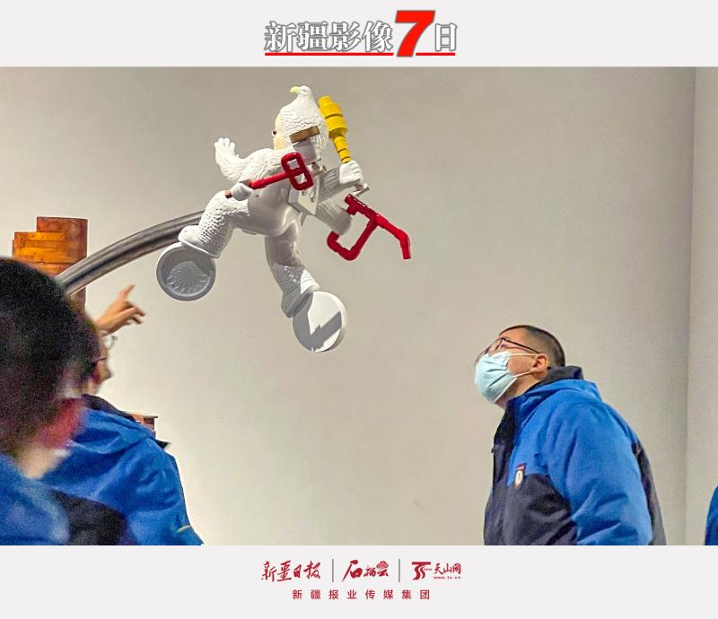 飞禽养殖场_飞禽养殖网_博乐养殖飞禽致富