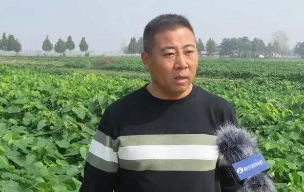 河南种植致富项目_致富种植河南项目怎么样_致富种植河南项目有哪些