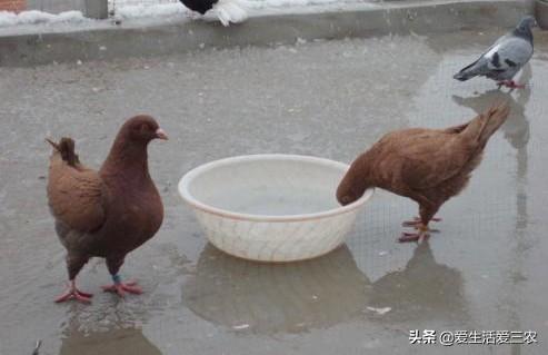 (穷人创业一千元以下的)四个投资只需千元的低成本创业项目-经济说网-第4附图