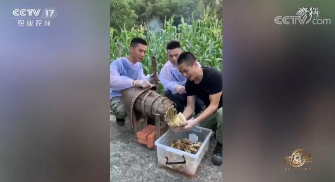 蜜蜂养殖技术视频全集免费提供_蜜蜂视频致富养殖播放_致富经养殖蜜蜂视频播放
