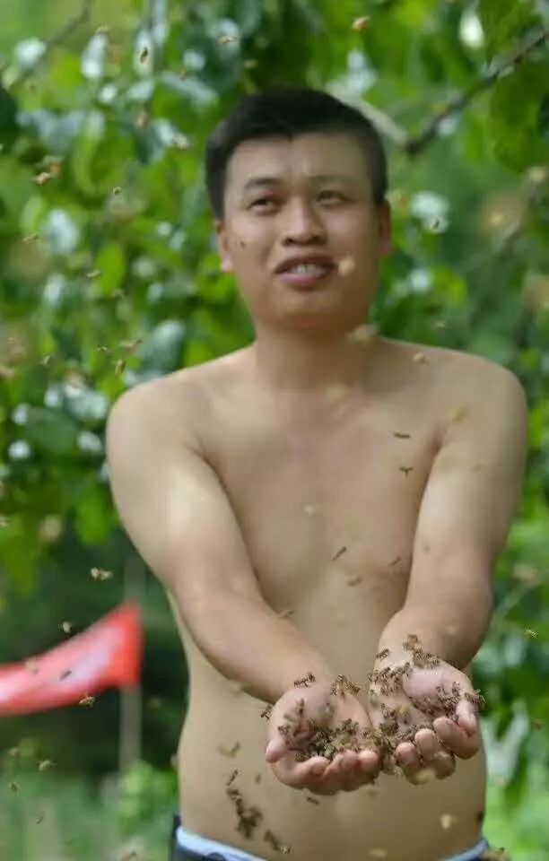 致富经养殖蜜蜂视频播放_蜜蜂视频致富养殖播放_蜜蜂视频致富养殖播放下载