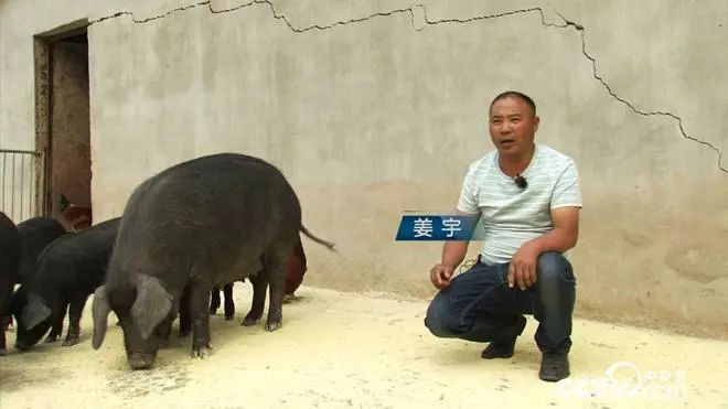 魏树人老六路八十九_致富经吉林魏树波_魏彦波吉林林业