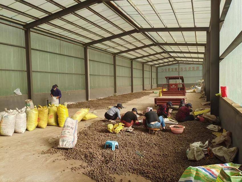 养殖致富门路大全_养殖致富之路_养殖致富新门路100条书籍